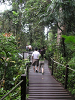 s_A_PICT0153_thumb.png